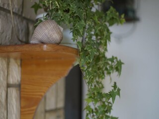 Maison de vacances Vela Luka  31