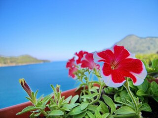 Appartement Sobra Enregistrement extérieur 3