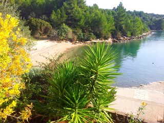 Maison de vacances Vela Luka  23