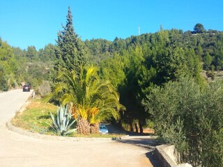 Casa per le vacanze Vela Luka  14