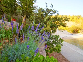 Casa per le vacanze Vela Luka  30