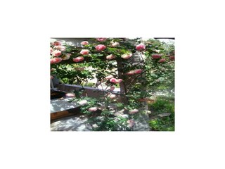 Vakantiehuis Vela Luka  19