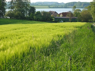 Schleiblick