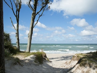 Ferienhaus Fuhlendorf Umgebung 39
