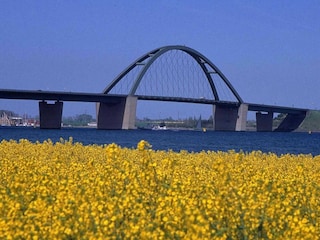 Vakantieappartement Großenbrode Omgeving 24