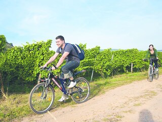 Radfahren entlang der Mosel und Weinbergen