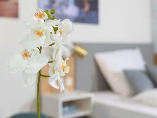 Appartamento per vacanze Nordhorn Caratteristiche 7