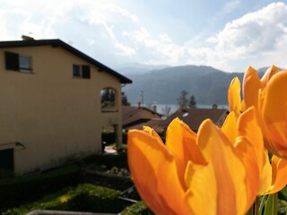 Holiday house Lierna Outdoor Recording 16