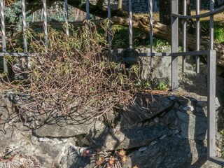 Holiday house Lierna Outdoor Recording 16