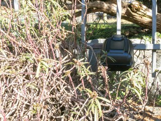 Holiday house Lierna Environment 74