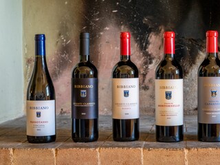 Ferienhaus Poggibonsi Ausstattung 108