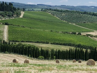 Ferienhaus Poggibonsi Umgebung 116