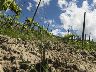 Ferienhaus Poggibonsi Umgebung 118