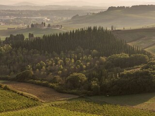 Holiday house Poggibonsi Environment 119