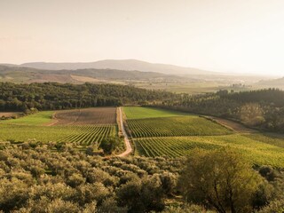Ferienhaus Poggibonsi Umgebung 120