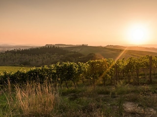 Ferienhaus Poggibonsi Umgebung 121