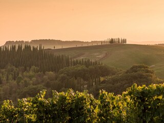 Ferienhaus Poggibonsi Umgebung 122