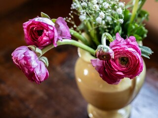 Holiday house Poggibonsi Features 14