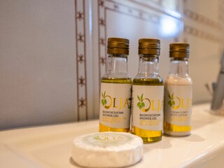 Ferienhaus Poggibonsi Ausstattung 79