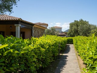 Ferienhaus San Teodoro Außenaufnahme 4