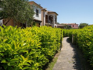 Ferienhaus San Teodoro Außenaufnahme 5