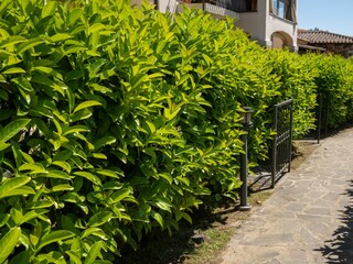 Ferienhaus San Teodoro Außenaufnahme 7