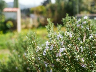 Ferienhaus Sorso Außenaufnahme 4