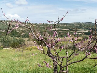 Ferienhaus Sorso Umgebung 66