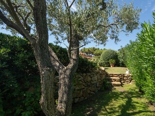 Holiday house Golfo Aranci Outdoor Recording 4