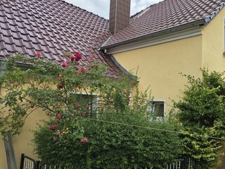 Ferienwohnung Burg im Spreewald Außenaufnahme 2