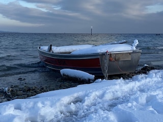 Winter am Bodensee
