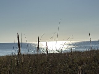 Morgensonne über der Düne