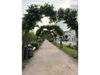 Allee auf der Strandstraße in Richtung Stadtkern