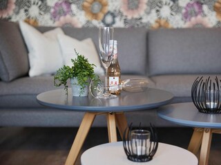 Wohnzimmer / Couchtisch