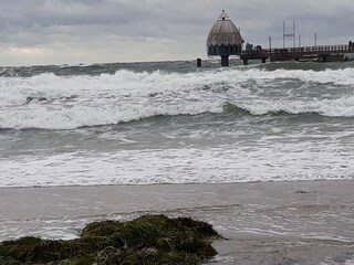 Ferienwohnung Zingst Umgebung 33