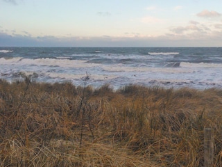 Ferienwohnung Zingst Umgebung 28