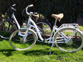 Ihre Ausflugsgefährten