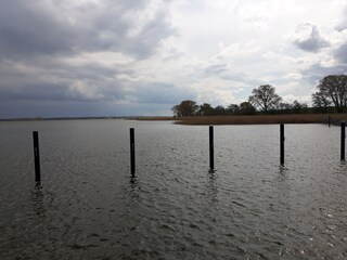 Ferienwohnung Zingst Umgebung 31