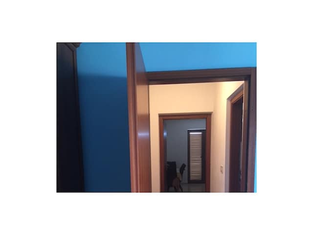 Apartment Kustici 4