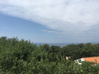 Apartment Potočnica  15