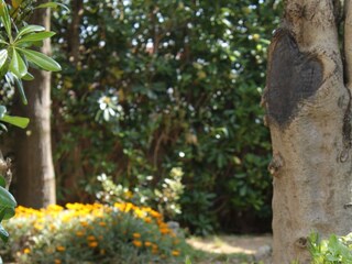 Apartment Povljana  6