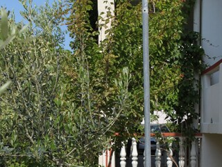 Apartment Povljana  8