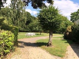 Bungalow Mechelen Outdoor Recording 3