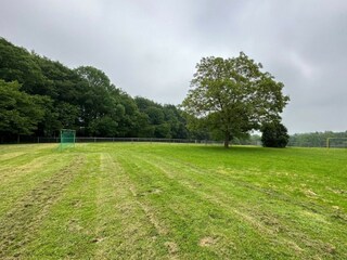 Bungalow Mechelen Außenaufnahme 2