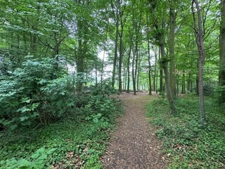 Bungalow Mechelen Outdoor Recording 3