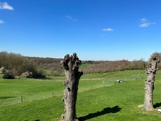 Bungalow Mechelen Outdoor Recording 3