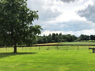 Bungalow Mechelen Außenaufnahme 2