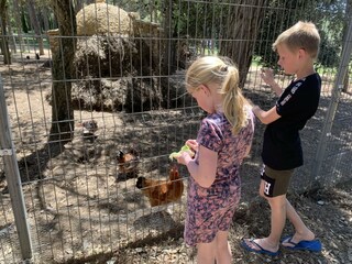 Holiday cottage Begur Environment 10