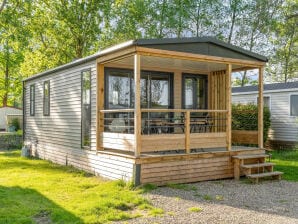 Camping Papillon Kinrooi – 87