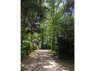 Chalet Lage Mierde  13